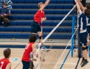 a9i08115