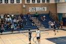 a9i08534