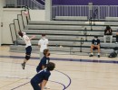 dsc03815 jv
