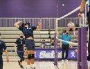 dsc03830 jv
