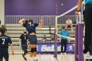 dsc03830 jv