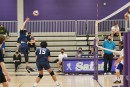 dsc03843 jv