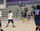 dsc03886 jv