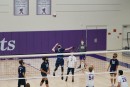 dsc03951 jv