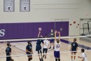 dsc03953 jv