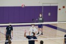 dsc03978 jv