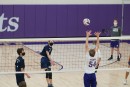 dsc04009 jv