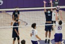 dsc04032 jv