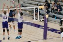 dsc04056 jv