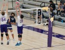 dsc04057 jv
