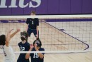 dsc04073 jv
