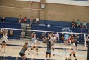 DSC09231