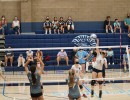 DSC09335