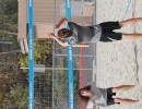 dsc08481