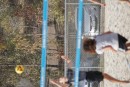 dsc08512