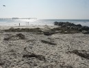 dsc08724