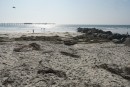 dsc08724