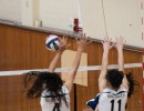 a9i09143 ucvb ucvb lj tourney 293