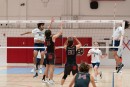 a9i00203 uchs  ucvb  ucvolley.com  volleyball  west coast challenge tournament244