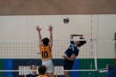 a9i04929 liberty  playoff  uchs  ucvb  ucvolley.com  volleyball145