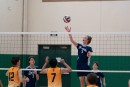 a9i05266 liberty  playoff  uchs  ucvb  ucvolley.com  volleyball253