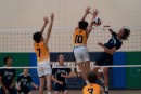 a9i05469 liberty  playoff  uchs  ucvb  ucvolley.com  volleyball317