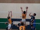 a9i05518 liberty  playoff  uchs  ucvb  ucvolley.com  volleyball330