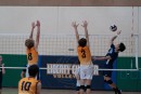 a9i05628 liberty  playoff  uchs  ucvb  ucvolley.com  volleyball358