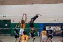 a9i05855 liberty  playoff  uchs  ucvb  ucvolley.com  volleyball422