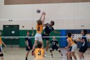 a9i05861 liberty  playoff  uchs  ucvb  ucvolley.com  volleyball428