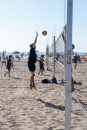 a9i04131 beach boys  parker  uc vb041